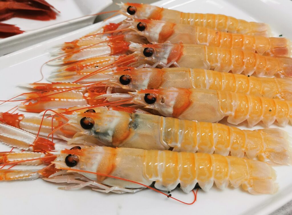 CIGALAS