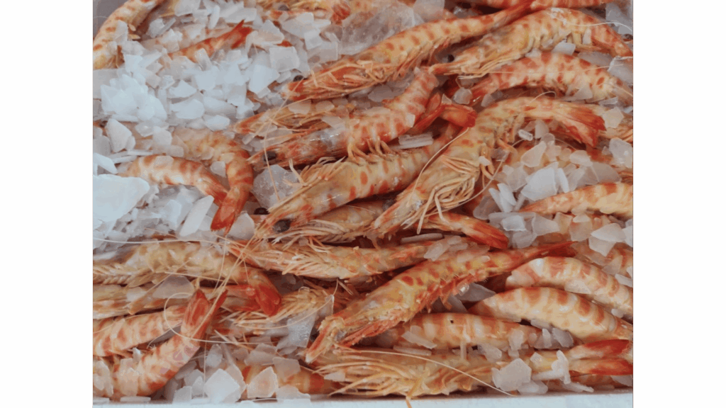 LANGOSTINOS TIGRE