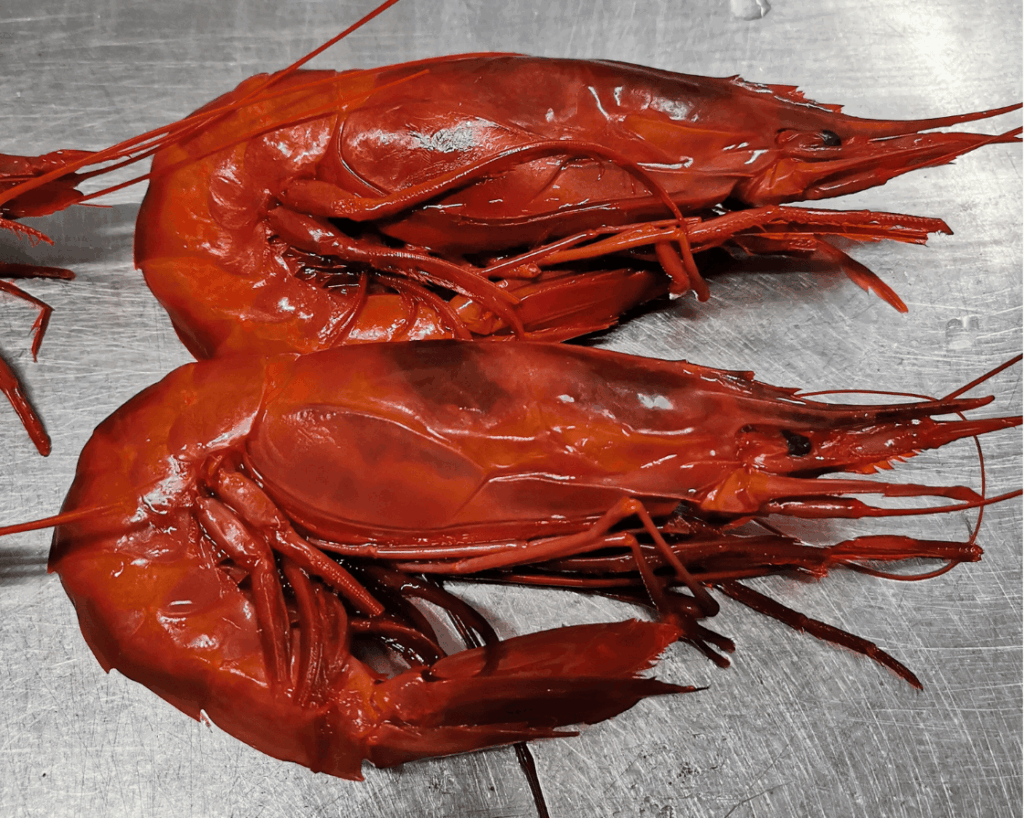 CARABINEROS GORDOS